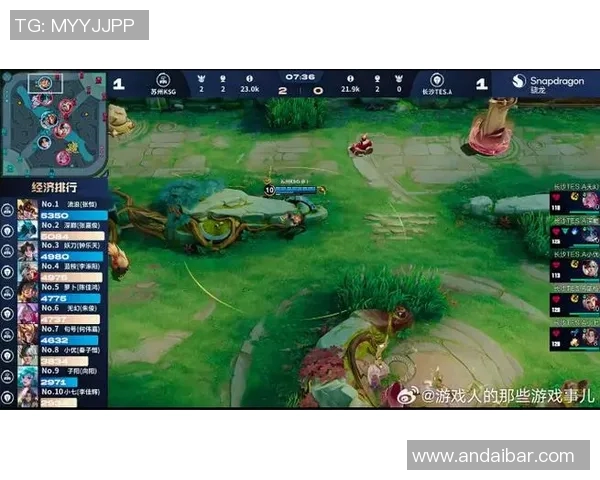 TES阵地战深度解析：英雄联盟战术演变与团队协作探讨