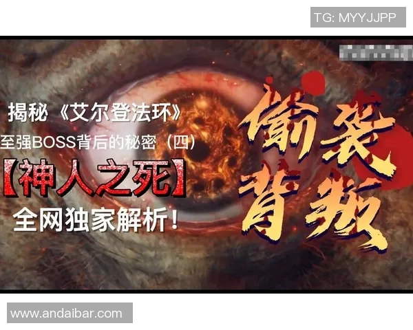 独家解析WE耐力对比背后的秘密与启示