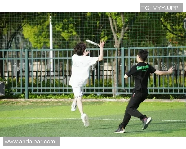 广州飞盘队耐力对比深度解析与训练策略探讨 广州飞盘队耐力对比深度解析与训练策略探讨