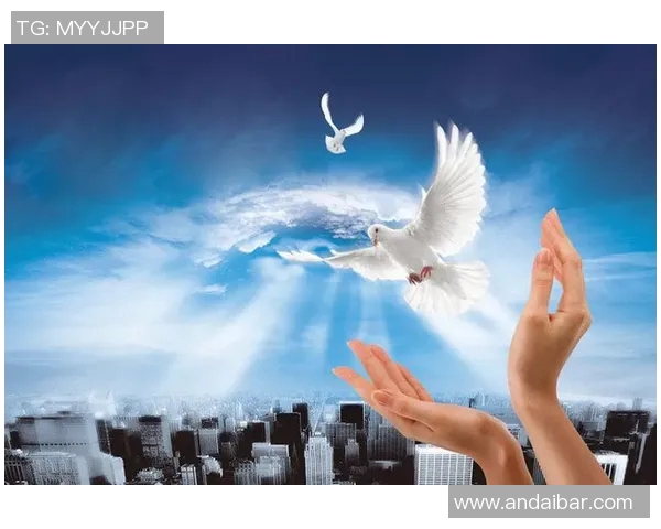 深度对话赵丽的排球人生与梦想追逐的心路历程 深度对话赵丽的排球人生与梦想追逐的心路历程