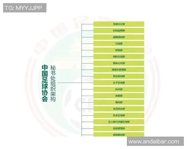 武汉足球队的战术创新与运营体系分析探讨